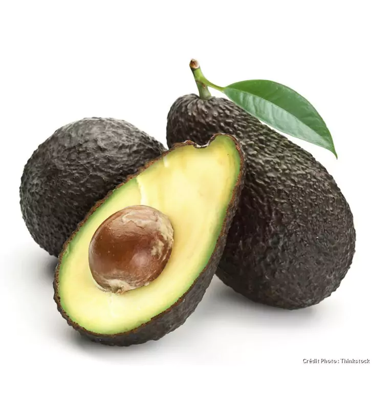 avocat-66f9cc70b5f29