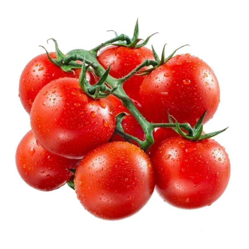 graines-tomate-cerise-rouge