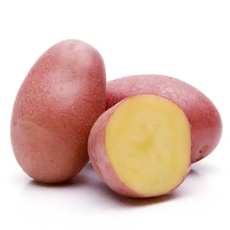 pommedeterrerouge